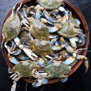 Meet your Posher, Lewis